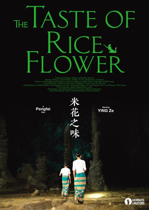 办假的农村土地承哪里可以经营权证